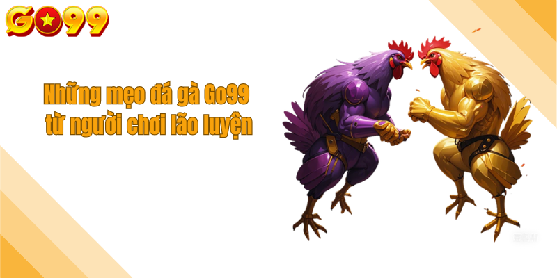 Những mẹo đá gà Go99 từ người chơi lão luyện